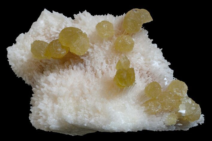 Yellow Calcite On Scolecite (Zeolite) Sprays - Maharashtra, India #168708